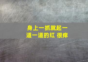 身上一抓就起一道一道的红 很痒